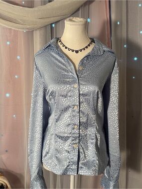 Light Blue Satin Animal-Texture Button-Front Blouse